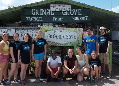 Woo Serve and CLEWS students lend a hand at Grimal Grove.