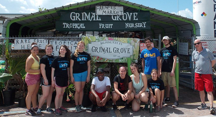 Woo Serve and CLEWS students lend a hand at Grimal Grove.