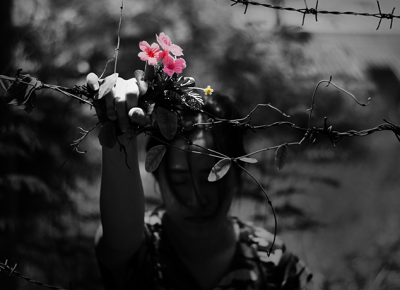 image of a refugee holding flower and barbed wire