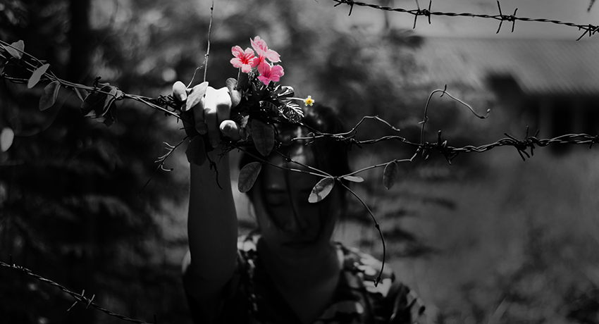 image of a refugee holding flower and barbed wire